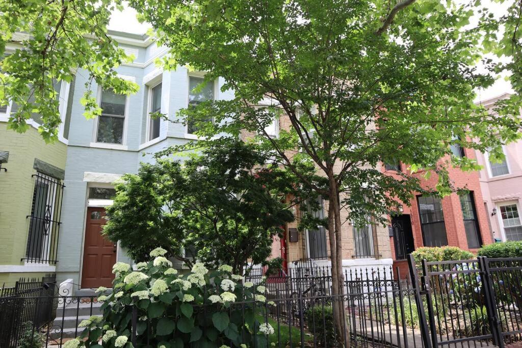 Villa 3-bedroom House With Cute Patio Explore Dc On Foot Washington