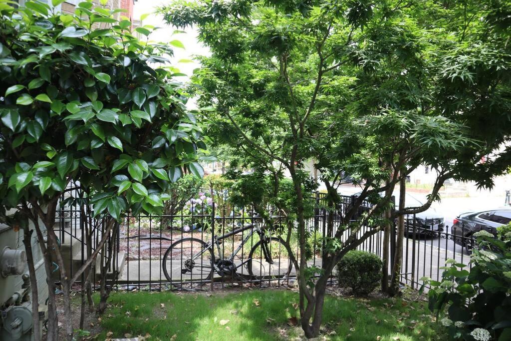3-bedroom House With Cute Patio Explore Dc On Foot Villa *